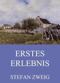 Erstes Erlebnis - Zweig Stefan - E-Book