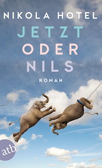Jetzt oder Nils - Nikola Hotel - E-Book