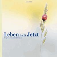 Leben heißt Jetzt - Karin Fehde - E-Book