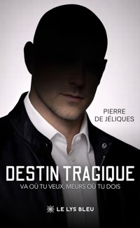 Destin tragique - Pierre de Jéliques - E-Book