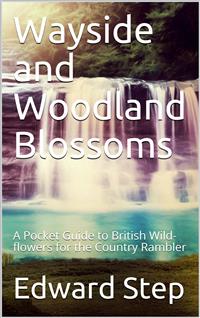 Wayside and Woodland Blossoms / A Pocket Guide to British Wild-flowers for the Country Rambler - Edward Step - E-Book