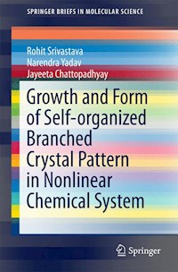 Growth and Form of Self-organized Branched Crystal Pattern in Nonlinear Chemical System - Rohit Srivastava - E-Book