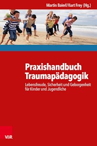 Praxishandbuch Traumapädagogik - Martin Baierl - E-Book
