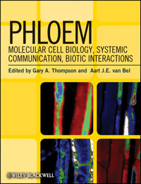 Phloem - Gary A. Thompson - E-Book