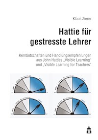 Hattie für gestresste Lehrer - Klaus Zierer - E-Book