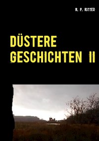 Düstere Geschichten 2 - R. P. Ritter - E-Book