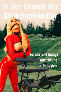 In der Gewalt der Mädchenhändler - P.A.I.N. Stefanie - E-Book