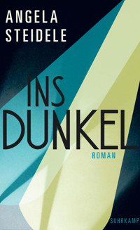 Ins Dunkel - Angela Steidele - E-Book