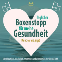 Täglicher Boxenstopp für meine Gesundheit! Entschleunigen, Innehalten, Ankommen und Durchatmen im Hier und Jetzt - Bei Stress und Angst (Ungekürzt) - Torsten Abrolat - Hörbuch
