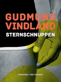Sternschnuppen - Gudmund Vindland - E-Book