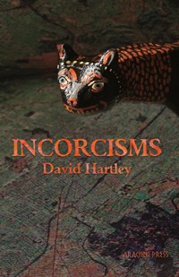 Incorcisms - David Hartley - E-Book