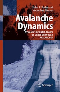 Avalanche Dynamics - S.P. Pudasaini - E-Book