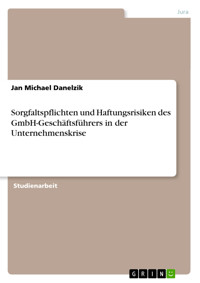Sorgfaltspflichten und Haftungsrisiken des GmbH-Geschäftsführers in der Unternehmenskrise - Jan Michael Danelzik - E-Book