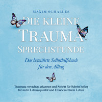 Die kleine Trauma Sprechstunde - Das bewährte Selbsthilfebuch für den Alltag: Traumata verstehen, erkennen und Schritt für Schritt heilen für mehr Lebensqualität und Freude in Ihrem Leben - Maxim Schalles - Hörbuch