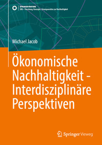 Ökonomische Nachhaltigkeit - Interdisziplinäre Perspektiven - Michael Jacob - E-Book