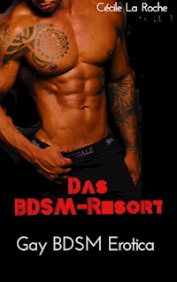 Das BDSM-Resort - Cécile La Roche - E-Book