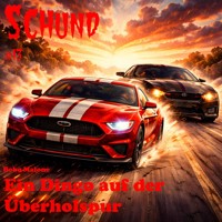 Ein Dingo auf der Überholspur - Bobo Malone - E-Book