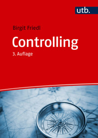 Controlling - Birgit Friedl - E-Book
