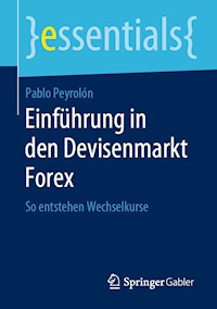 Einführung in den Devisenmarkt Forex - Pablo Peyrolón - E-Book