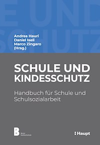 Schule und Kindesschutz - Andrea Hauri - E-Book