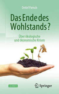 Das Ende des Wohlstands? - Detlef Pietsch - E-Book