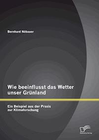 Wie beeinflusst das Wetter unser Grünland - ein Beispiel aus der Praxis zur Klimaforschung - Bernhard Nöbauer - E-Book