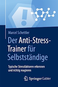 Der Anti-Stress-Trainer für Selbstständige - Marcel Schettler - E-Book