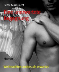 Eine unerwartete Begegnung - Peter Marquardt - E-Book