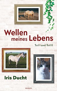 Wellen meines Lebens - Iris Ducht - E-Book