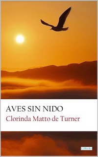 Aves Sin Nido - Clorinda Matto de Turner - E-Book