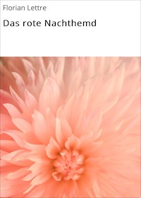 Das rote Nachthemd - Florian Lettre - E-Book