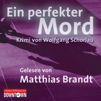 Krimi to go: Ein perfekter Mord - Wolfgang Schorlau - Hörbuch