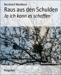 Raus aus den Schulden - Bernhard Woelkens - E-Book