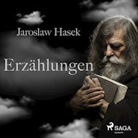 Erzählungen (Ungekürzt) - Jaroslaw Hasek - Hörbuch