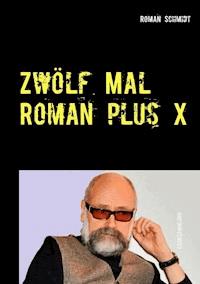 Zwölf Mal Roman plus X - Roman Schmidt - E-Book