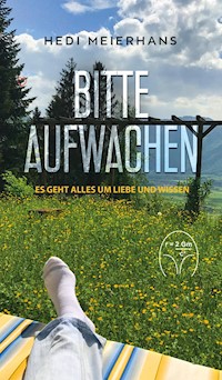 Bitte aufwachen - Hedi Meierhans - E-Book