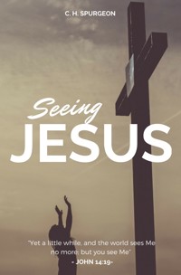 Seeing Jesus - Charles H. Spurgeon - E-Book