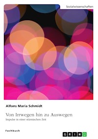 Von Irrwegen hin zu Auswegen - Alfons Maria Schmidt - E-Book