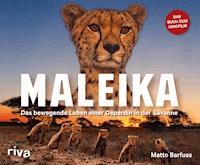 Maleika - Matto Barfuss - E-Book