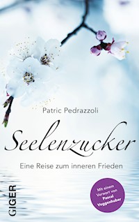 Seelenzucker - Patric Pedrazzoli - E-Book
