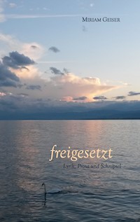 freigesetzt - Miriam Geiser - E-Book