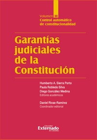 Garantías Judiciales de la Constitución Tomo III - Varios autores - E-Book