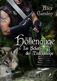 Im Schatten der Todessteine 2: Höllenauge - Alice Camden - E-Book