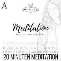 Waldspaziergang gegen Stress - Meditation A - 20 Minuten Meditation - Christiane M. Heyn - Hörbuch