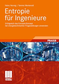 Entropie für Ingenieure - Heinz Herwig - E-Book