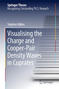 Visualising the Charge and Cooper-Pair Density Waves in Cuprates - Stephen Edkins - E-Book