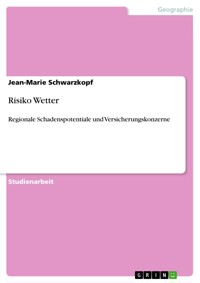 Risiko Wetter - Jean-Marie Schwarzkopf - E-Book