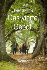 Das vierte Gebot - Peer Sommé - E-Book