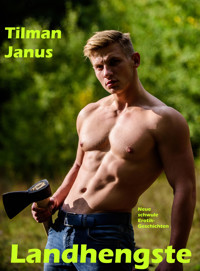 Landhengste - Tilman Janus - E-Book