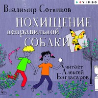 Похищение неправильной собаки - Владимир Сотников - Hörbuch